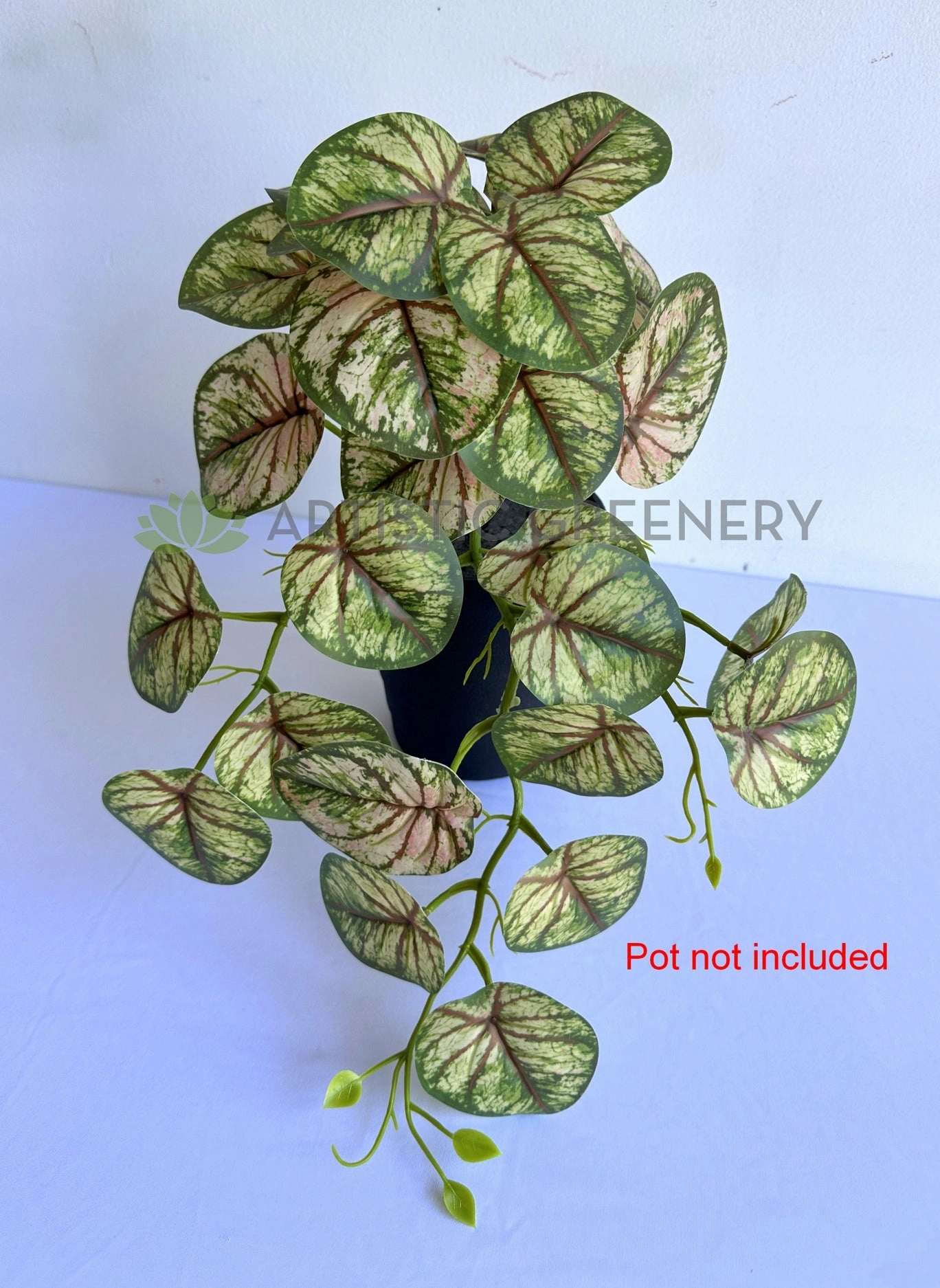 HP0101 Hanging Caladium Plant 46cm (2 Styles Red / White)