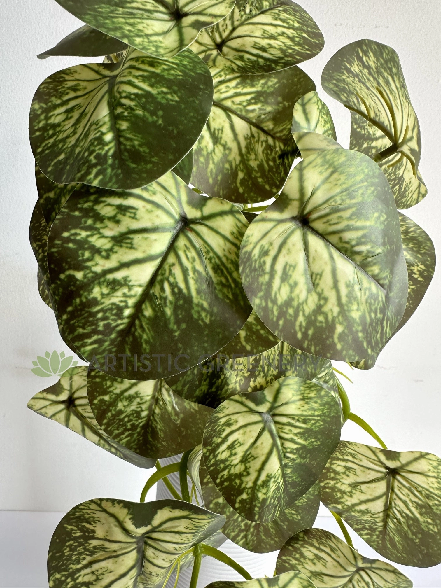 HP0101 Hanging Caladium Plant 46cm (2 Styles Red / White)