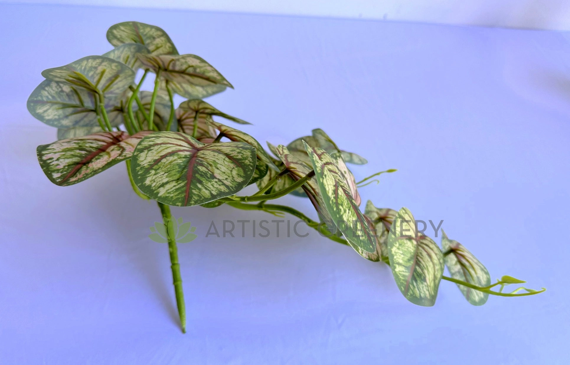 HP0101 Hanging Caladium Plant 46cm (2 Styles Red / White)