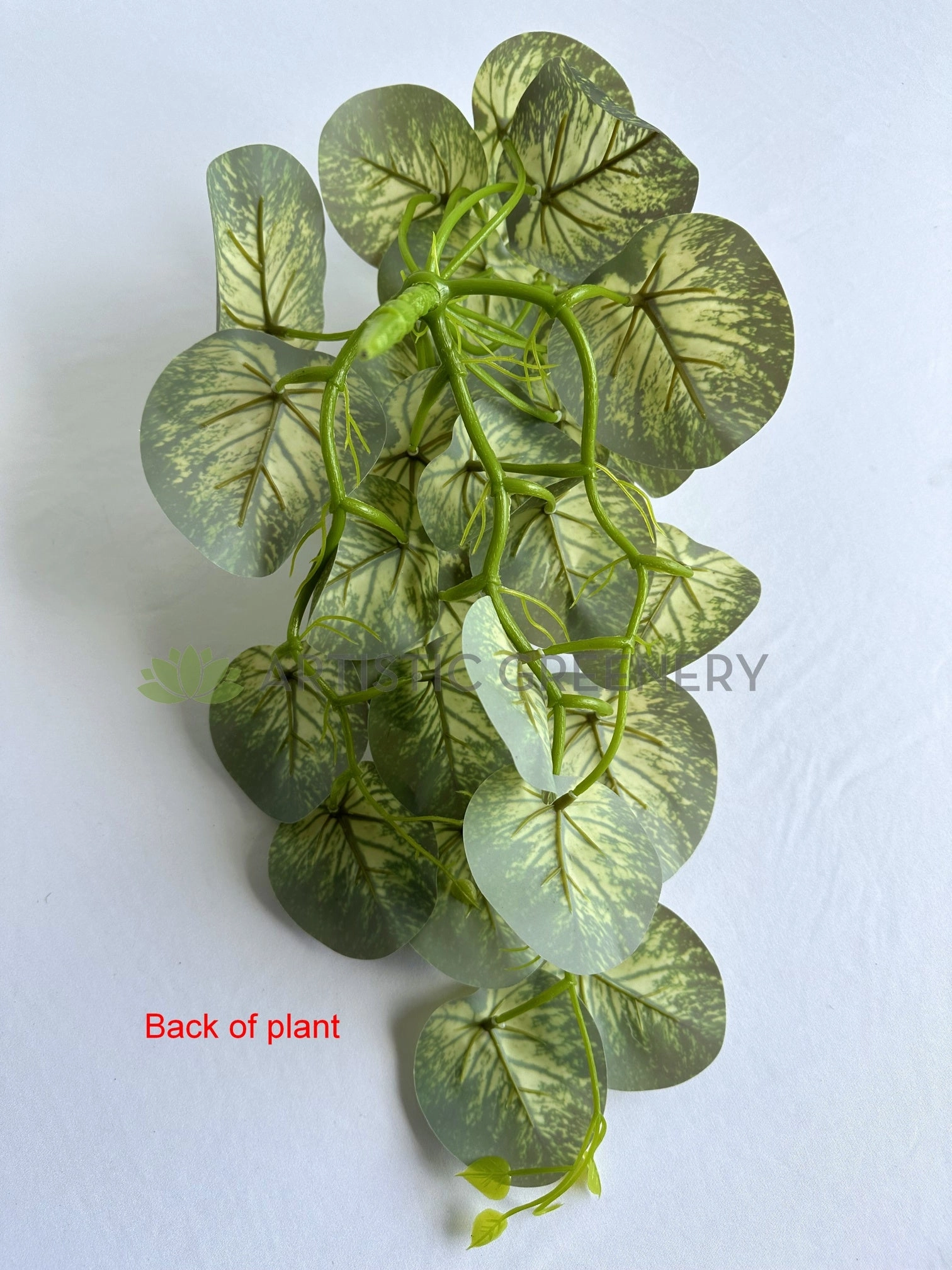 HP0101 Hanging Caladium Plant 46cm (2 Styles Red / White)