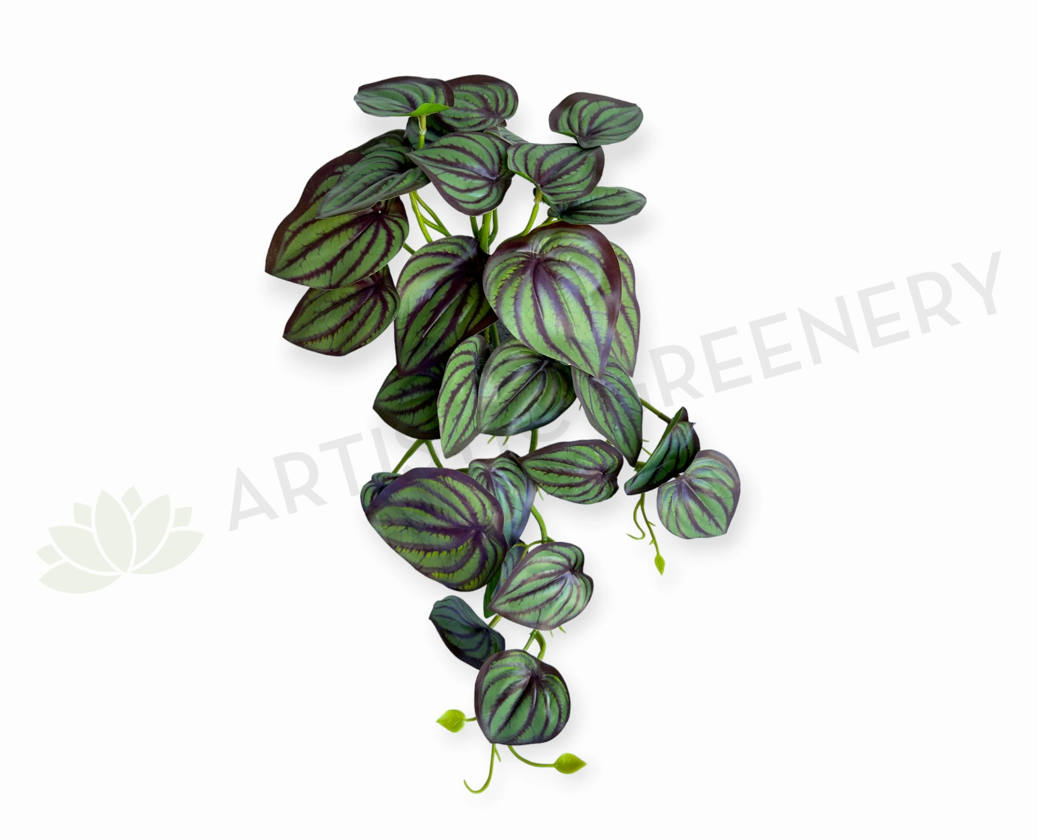 HP0102 Hanging Calathea Orbifolia 46cm Purple xl flower pot  