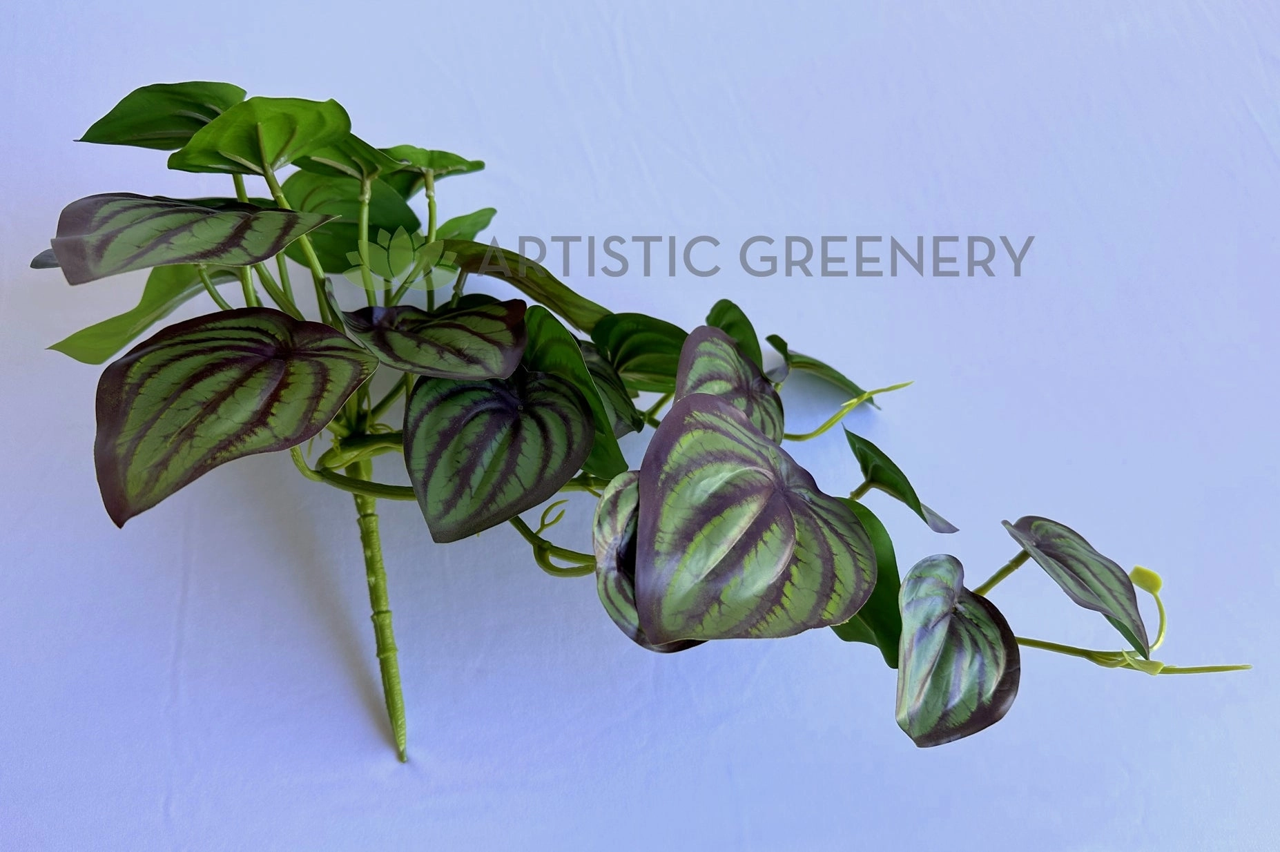 HP0102 Hanging Calathea Orbifolia 46cm Purple