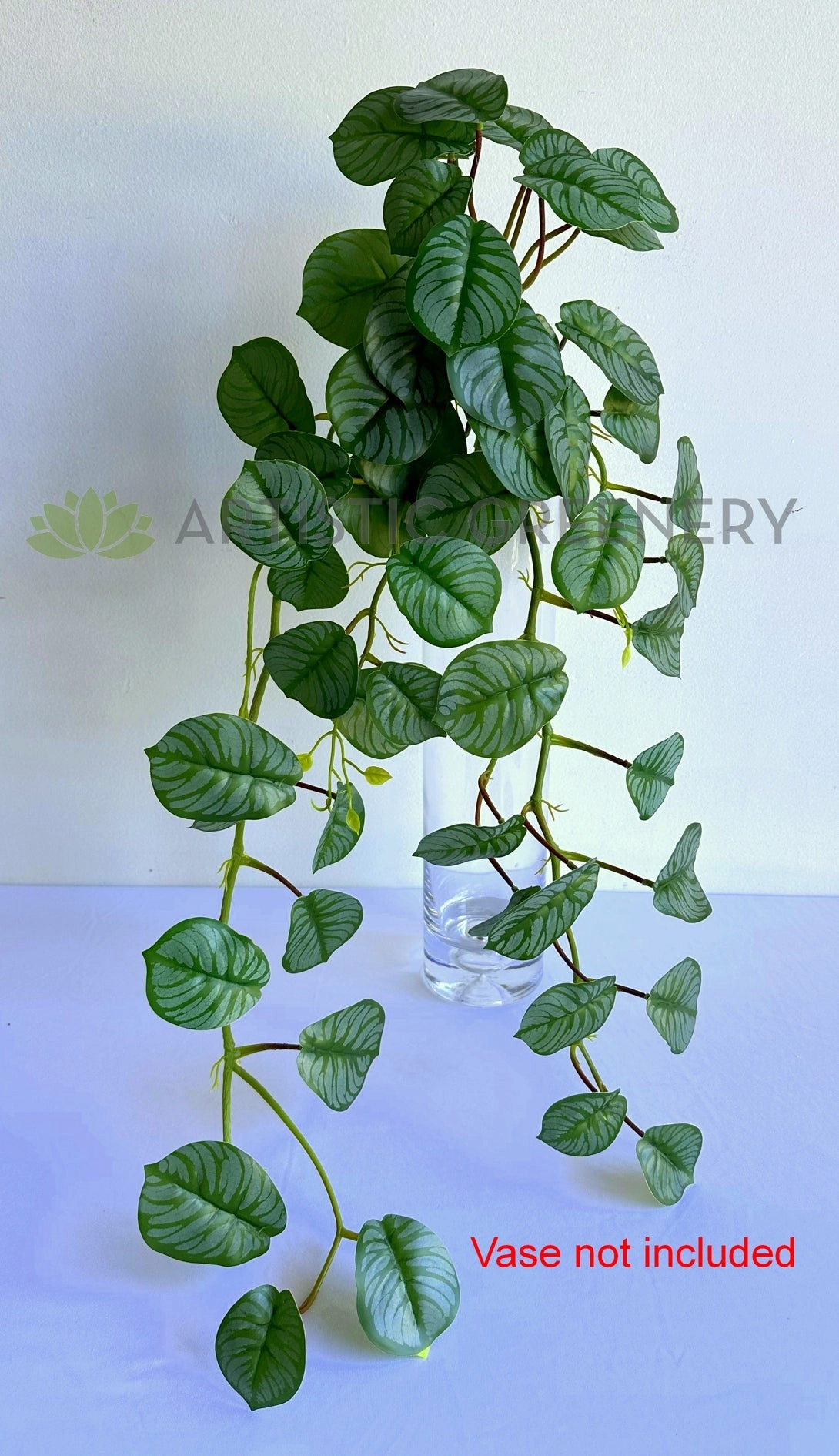 HP0103 Hanging Calathea Orbifolia 85cm Green