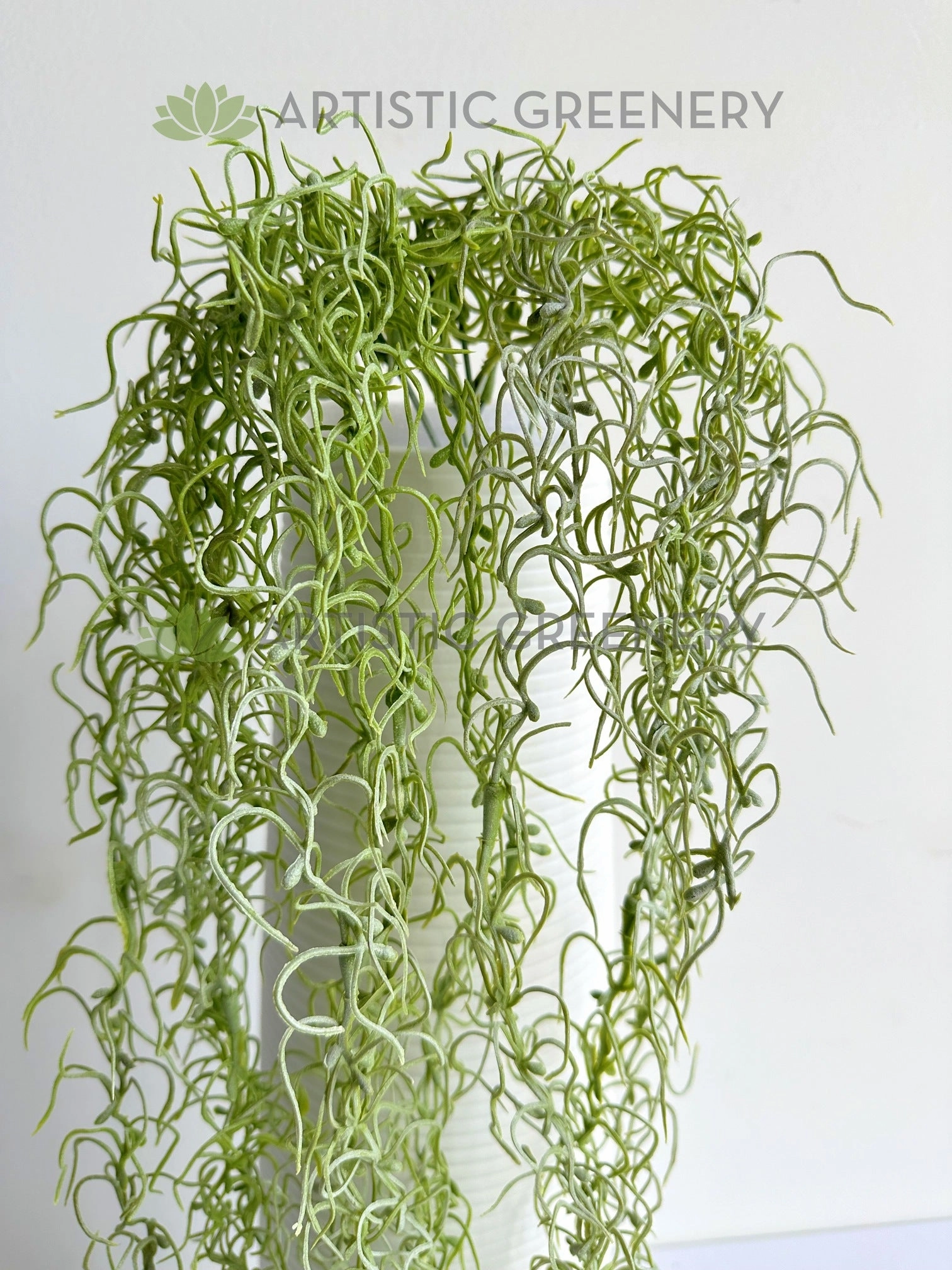 HP0104 Hanging Fish Hook / Air Plant / String of Hooks 90cm Green