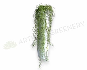 HP0104 Hanging Fish Hook / Air Plant / String of Hooks 90cm Green summer vegetable seed  