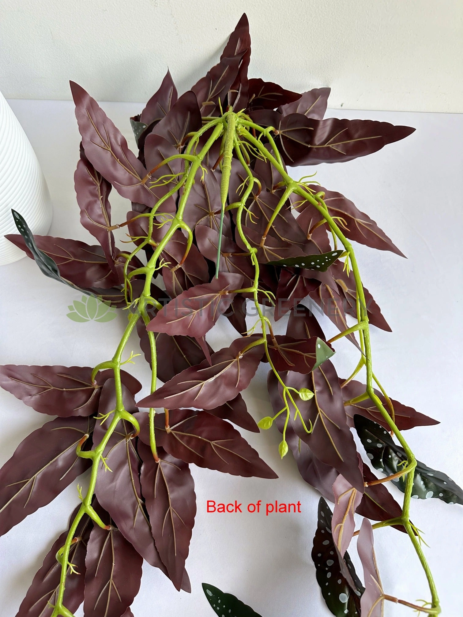 HP0105 Hanging Polka Begonia / Begonia Maculata 84cm Purple