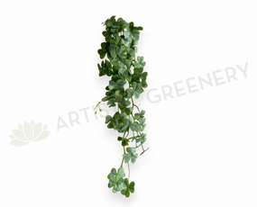 HP0106 Hanging Clover Plant (Shamrock)82cm Green xl flower pot  