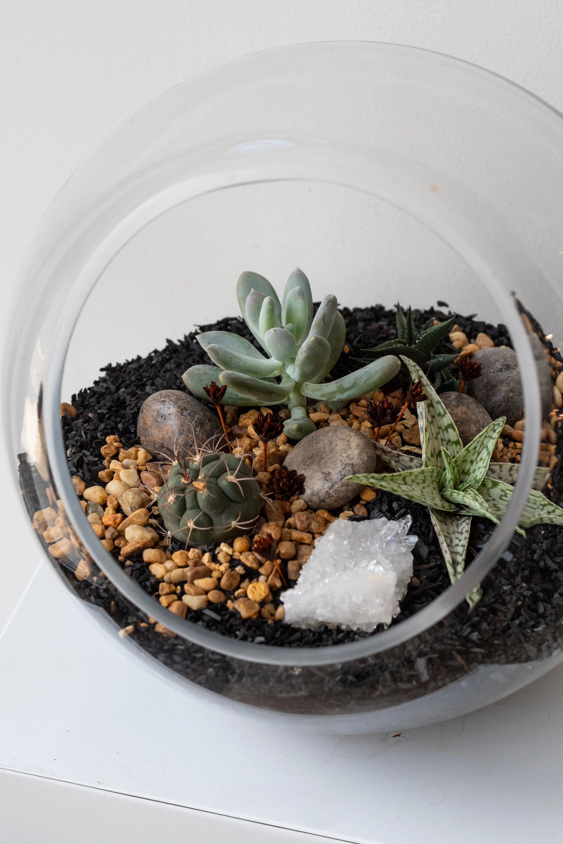 Hurricane Planted Terrarium 9"