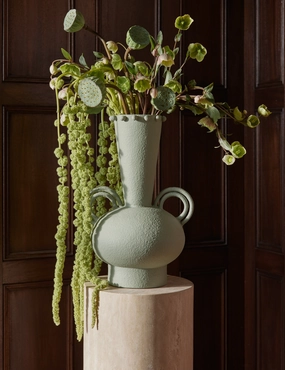 Idra Vase by Aimee Song mini ornamental plant  
