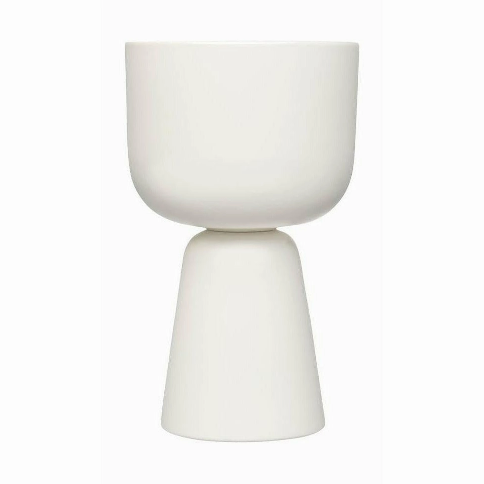Iittala Nappula Flowerpot 320x190mm, White dried green plant  
