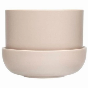 Iittala Nappula Flowerpot With Saucer 170x130mm, Beige dried green plant  