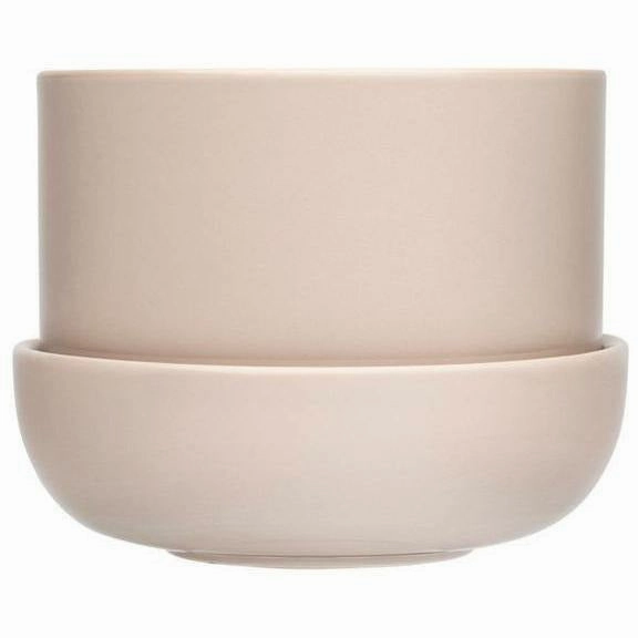 Iittala Nappula Flowerpot With Saucer 170x130mm, Beige dried green plant  