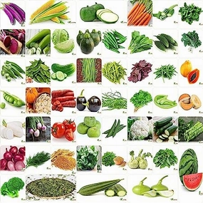 India's No.1 Oragnic Winter & Summer Vegetable Seeds- Pack of 50 small bud vase  
