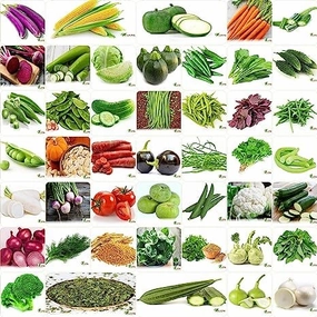 India's No.1 Organic Winter & Summer Vegetable Seeds- Pack of 45 small bud vase  