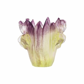 Iris - Small Vase mini ornamental plant  