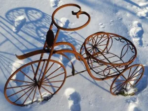 Iron Trike with basket decorative plants  