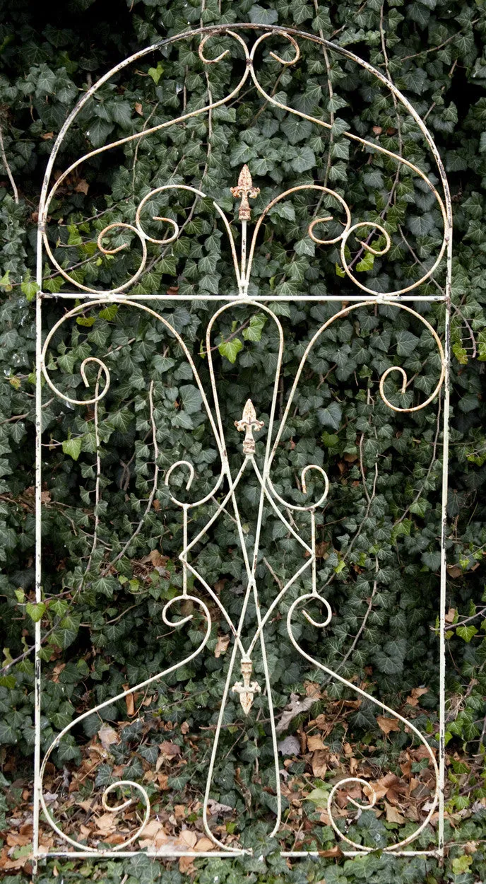 Iron Upside Down Trellis with Welded Stakes on Bottom decorative plants  