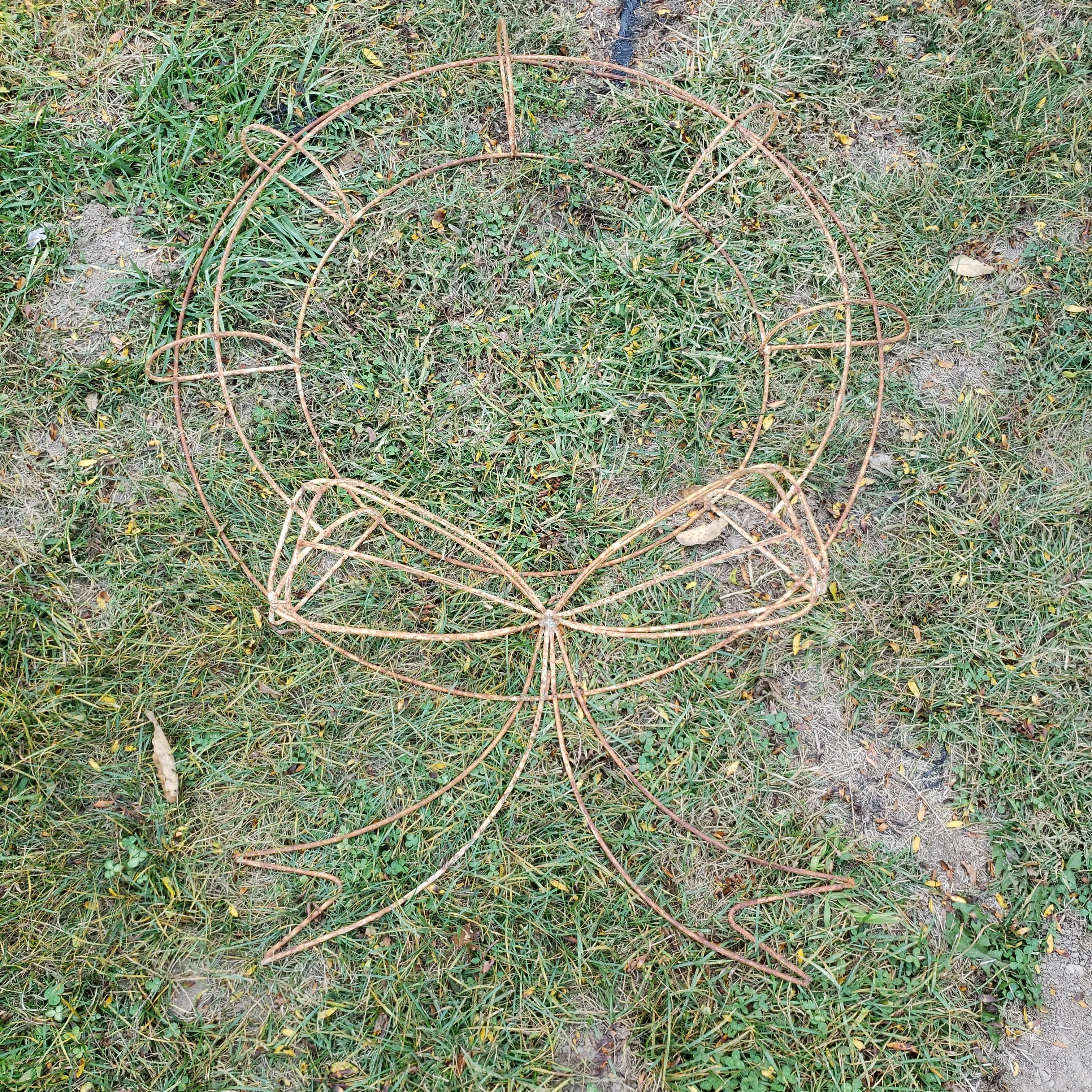 Iron Wreath decorative plants  