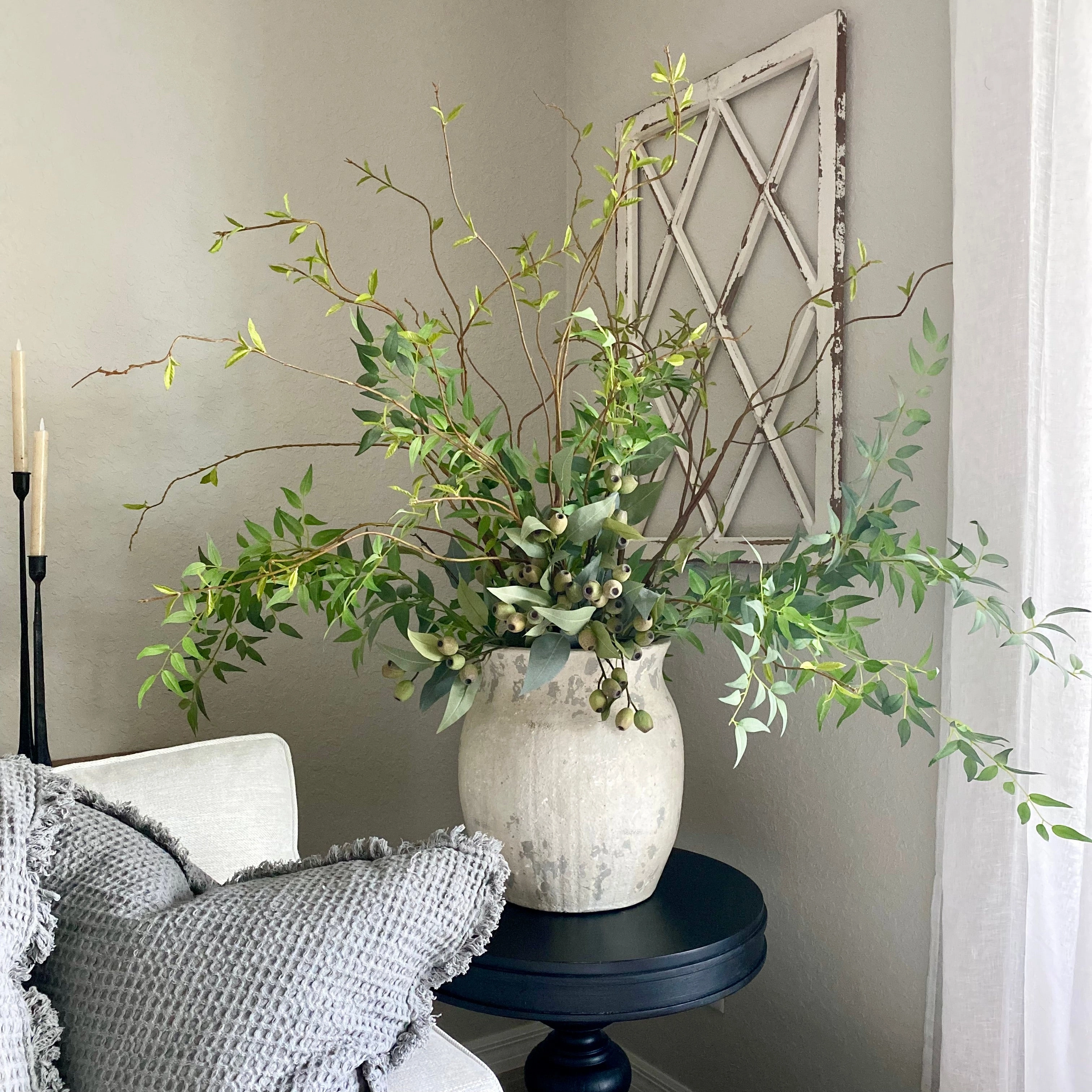 Italian Ruscus Branch