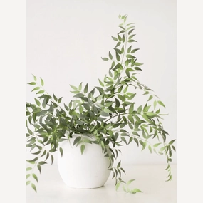 Italian Ruscus Branch xl flower pot  