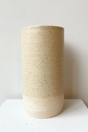 Jacqueline Vase Butter Speckle Large dried green plant  