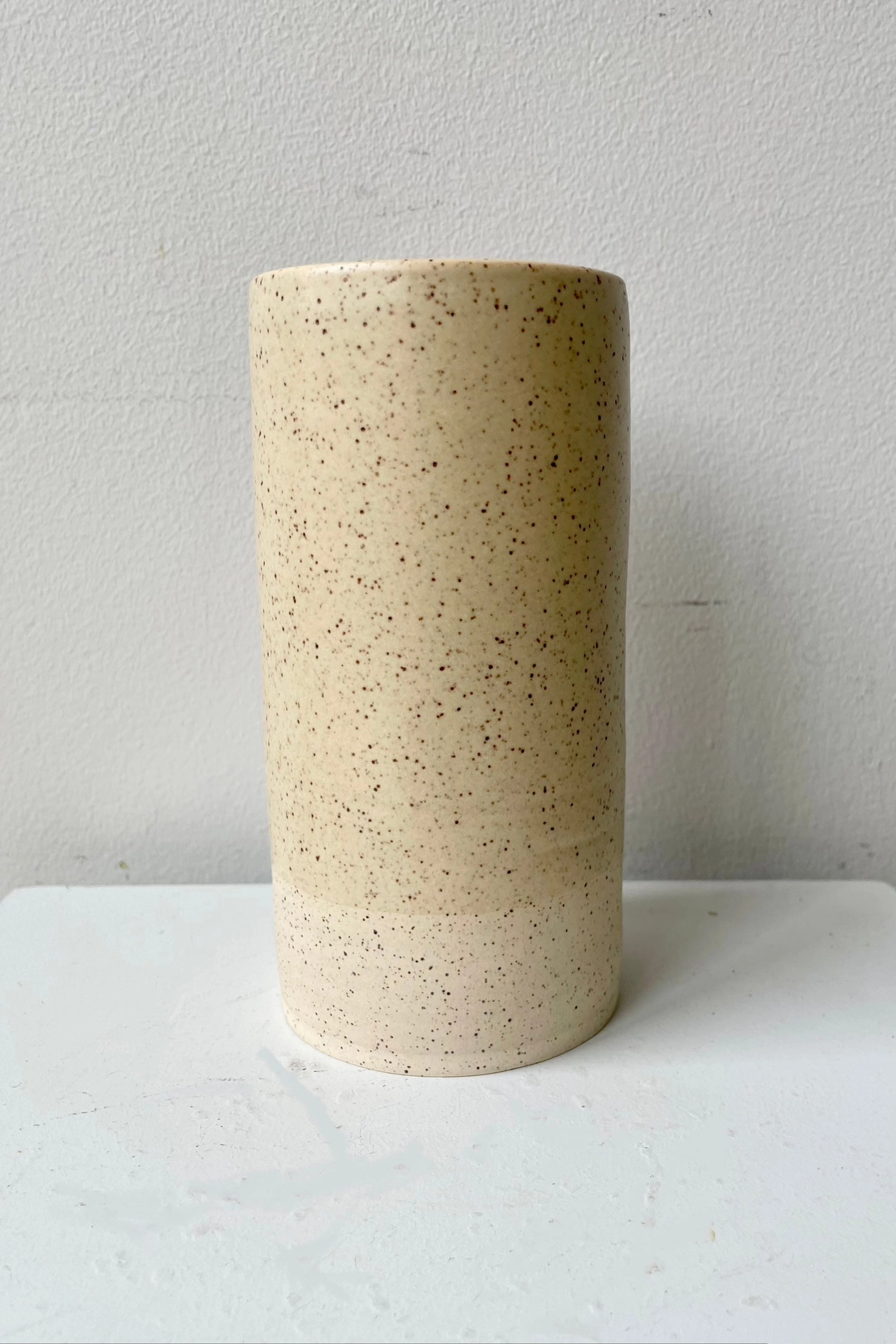 Jacqueline Vase Butter Speckle Small dried green plant  