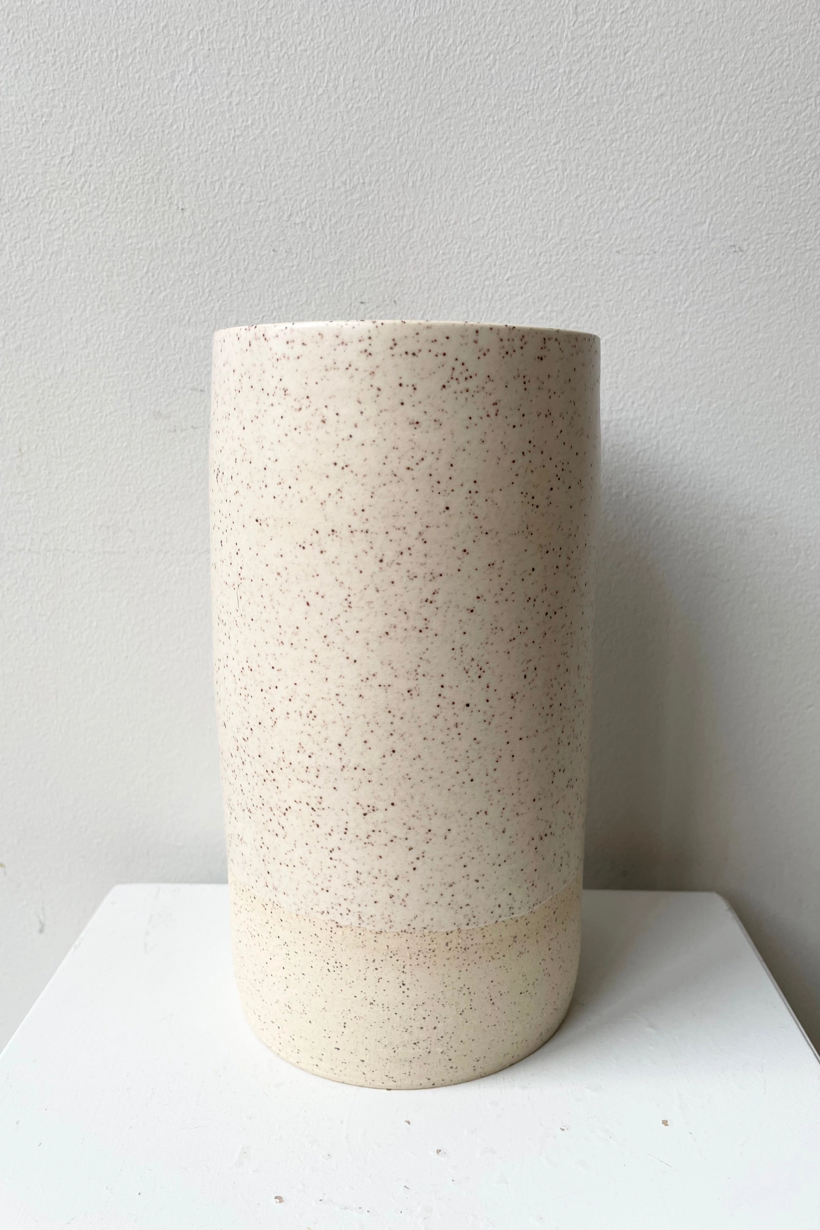 Jacqueline Vase Cream Speckle Large dried green plant  