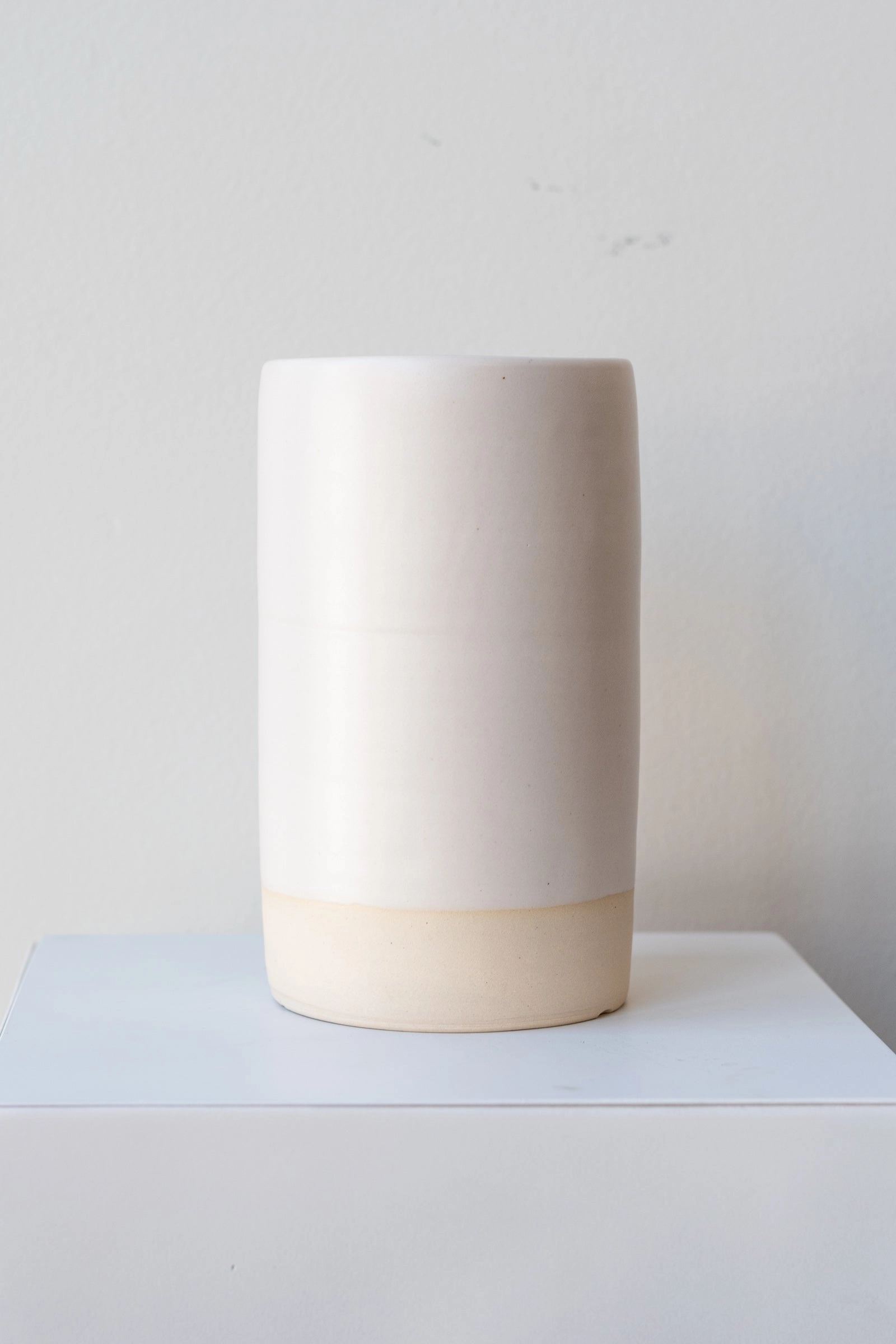 Jacqueline Vase White Large dried green plant  
