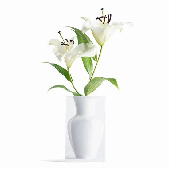 Joseph Vase - Hamptons White mini ornamental plant  