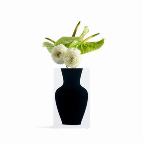 Joseph Vase - Soho Black mini ornamental plant  