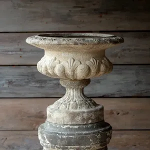 Josephine Urn dried flowers  