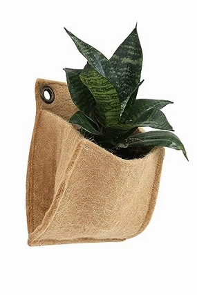 Jute 1 Pocket Hanging Planter- Pack of 2 hanging green plant  