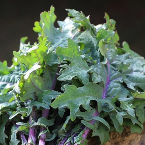 Kale, Greenpeace Organic Seeds floating plant shelf  
