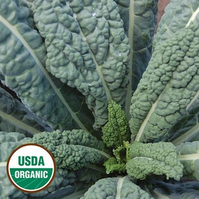 Kale, Lacinato Organic Seeds floating plant shelf  