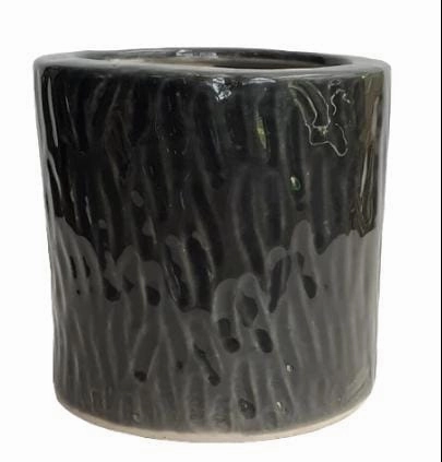 Khurja Ceramic Cylinder Black Pot tall green plant  