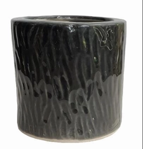 Khurja Ceramic Cylinder Black Pot tall green plant  