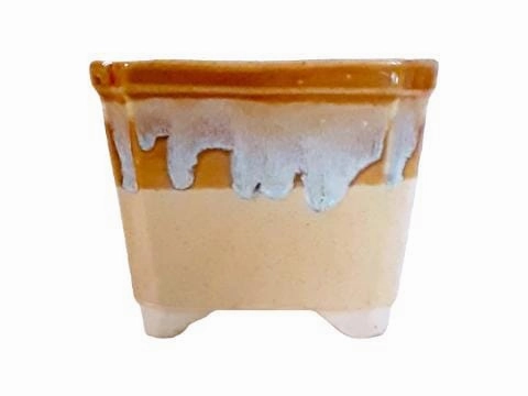Khurja Ceramic Square Brown With Blue Shade Pot tall green plant  