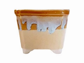 Khurja Ceramic Square Brown With Blue Shade Pot tall green plant  