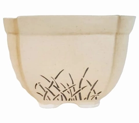 Khurja Ceramic Square Cream Brown Pot tall green plant  