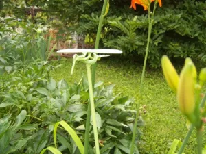 Knife Bird on Pole decorative plants  