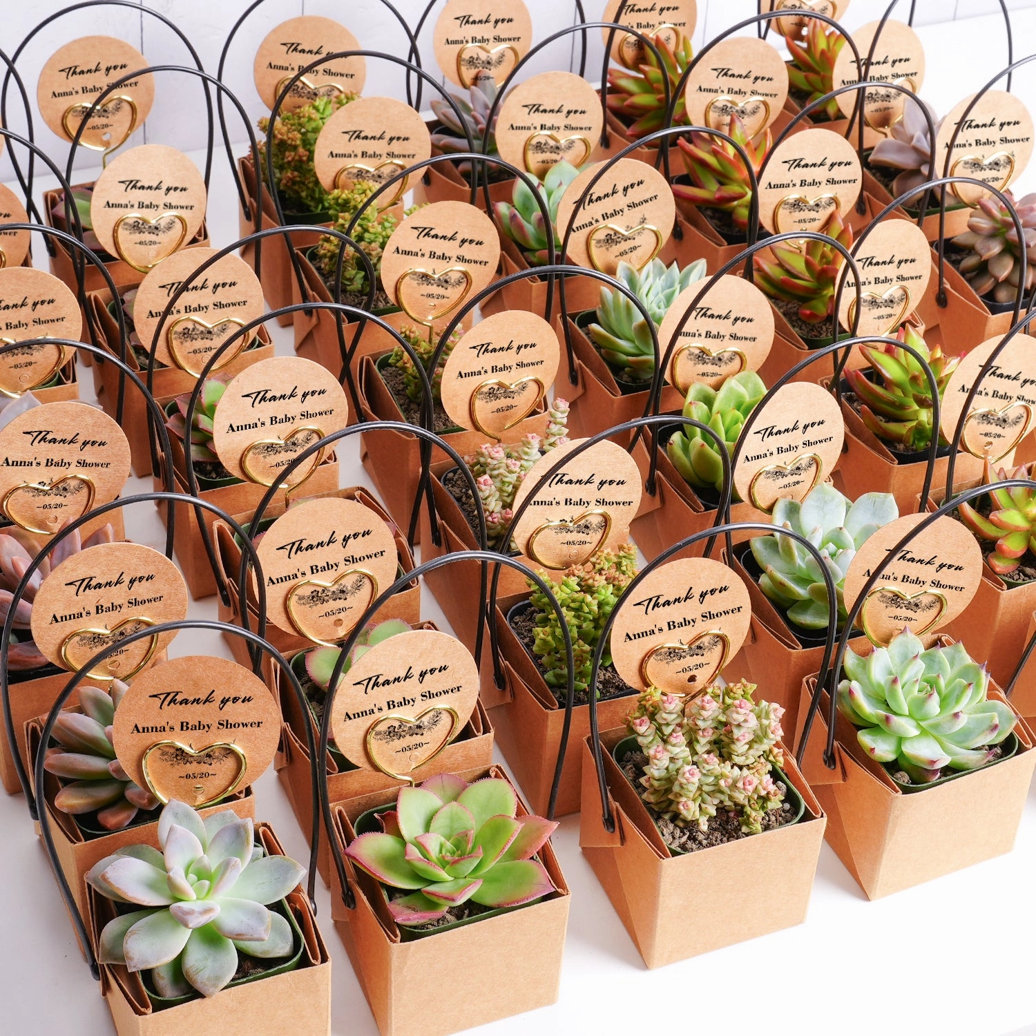 Kraft Paper Succulent Favors (Tag Custom Supported)