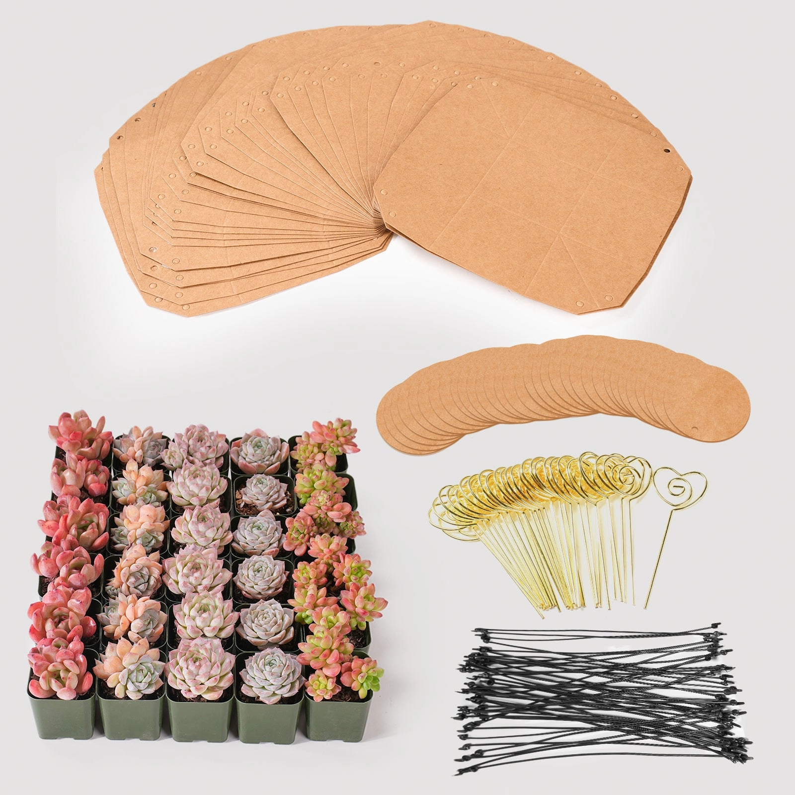 Kraft Paper Succulent Favors (Tag Custom Supported)