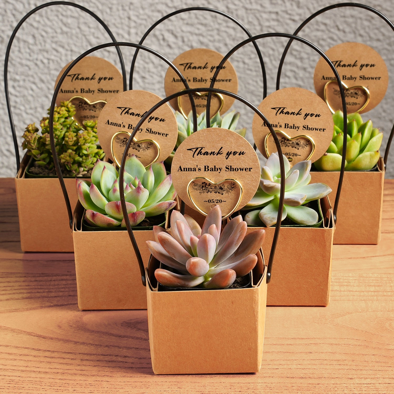 Kraft Paper Succulent Favors (Tag Custom Supported)