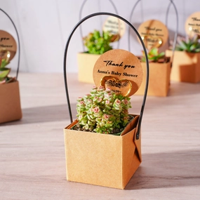Kraft Paper Succulent Favors (Tag Custom Supported) mini ornamental plant  
