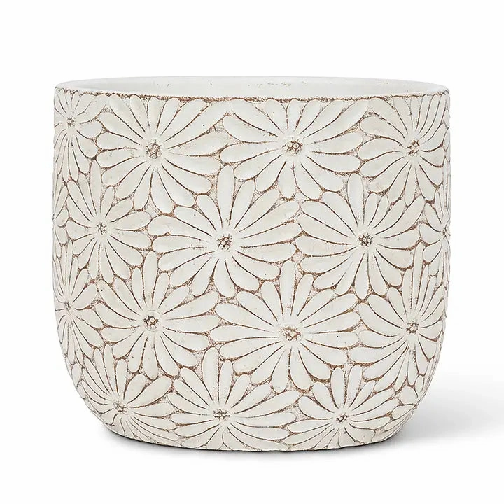 Large White Daisy Round Planter plant seeds  