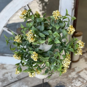 Late Bloomer Candle Ring xl flower pot  