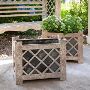 Lattice Iron Garden Planter dried flowers  