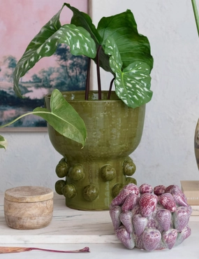 Lawani Vase mini ornamental plant  