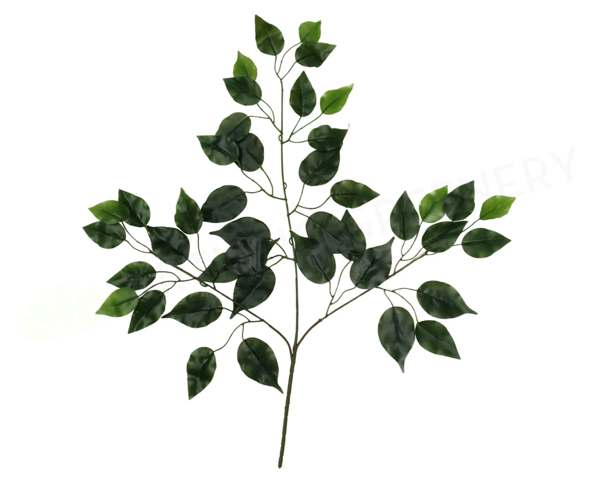 LEA0003 Ficus Leaves Real Touch dried green plant  