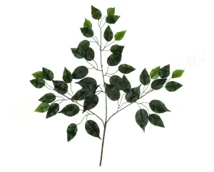 LEA0003 Ficus Leaves Real Touch dried green plant  